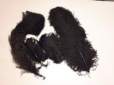 Piume di struzzo nere vere vintage 4 piume cm 46/ 18