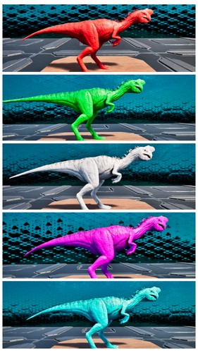 Oviraptor color coppia - coppia, adulti