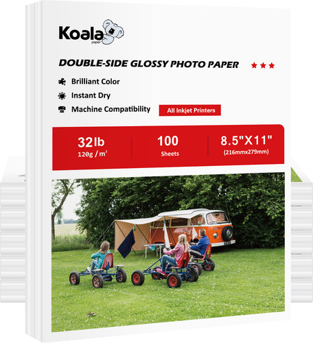 Koala carta fotografica lucida