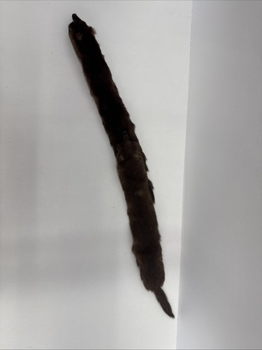 Stola vintage baar beards - &,