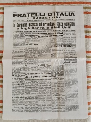 Replica fratelli italia - d',