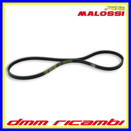 Cinghia malossi special - malossi, belt