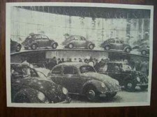 VW Volkswagen Maggiolino, Maggiolino Maggiolino, IAA, Francoforte, illustrazione, 1955