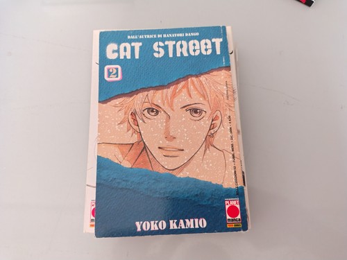 Cat street yoko - street, kamio