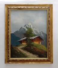 Paesaggio alpino con Monviso