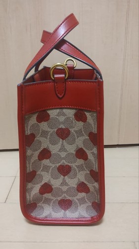 Borsa coach modello cuore - modello,