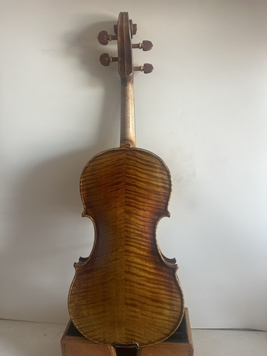 Violino modello guarneri - violino,