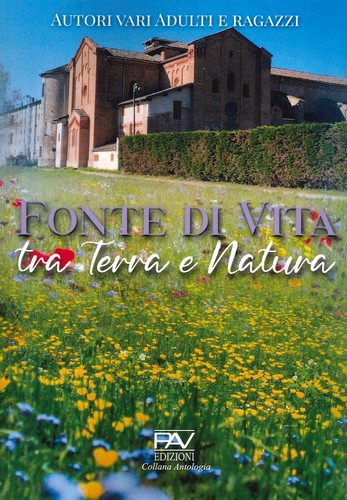 Fonte vita tra terra - di,