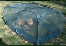 Peck & Play Gabbia Pop Up