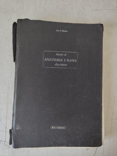 Atlante anatomia umana - atlante, di