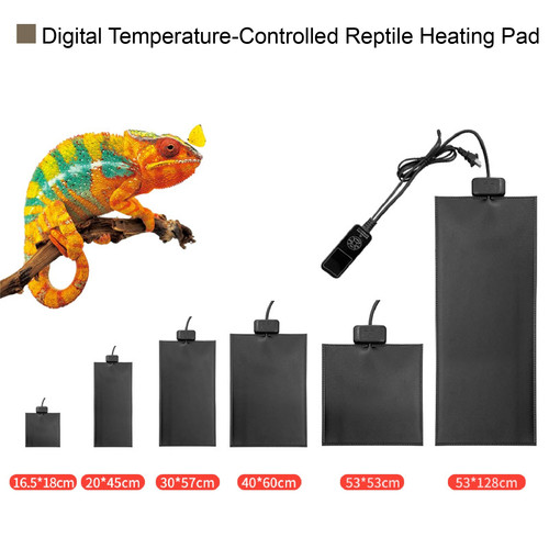 Termostato digitale