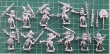 Banda amazzonica Mordheim