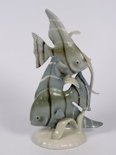 PESCI SCALARI DI ROYAL DUX