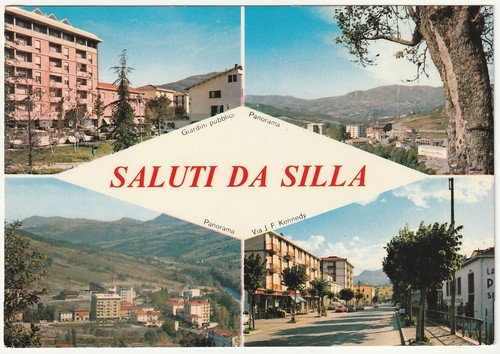 Silla gaggio montano - silla,