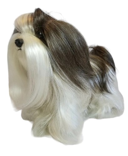 Little puppy shitzu style - "my,