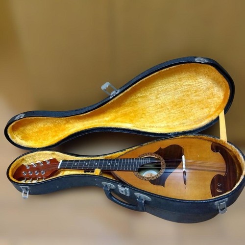 Suzuki 215 mandolino 1974 - mandolino,