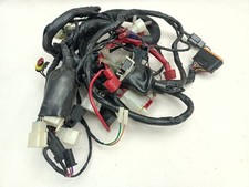 CABALAGGIO ELETTRICO ELECTRIC