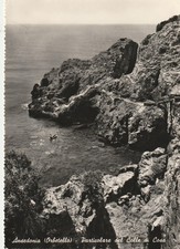 C4 - Cp Cartolina Ansedonia