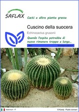 SAFLAX  - Cuscino della