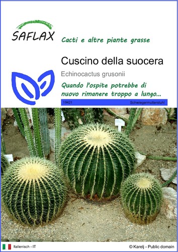 Saflax cuscino della - ,