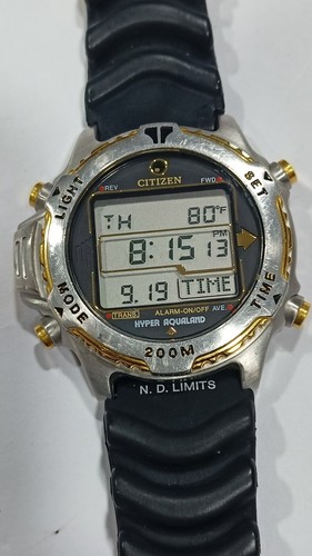 D205 089839 citizen promaster - citizen,