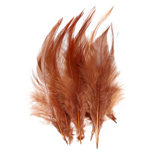 Plumas gallo silla - plumas, de