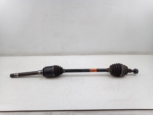 Semiasse anteriore abs - anteriore,