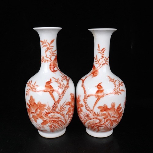 Coppia bottiglie rosso - di,
