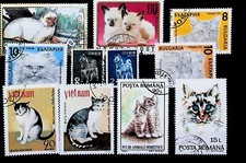 FRANCOBOLLI TOPICI usati con animali gatti 17055