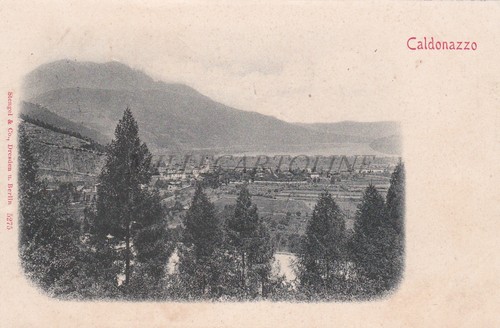 Caldonazzo veduta cartolina - caldonazzo,