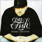 Big Fish - Robe Grosse - Cd + Dvd - Usato (special edition)