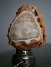 Lampada Conchiglia Inciso St
