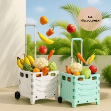 Cestino della spesa con 2