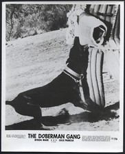 The doberman gang 72 - the, ’72