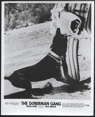 The doberman gang - gang, ’72