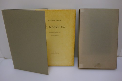 Mehmet gayuk gineceo - mehmet, il