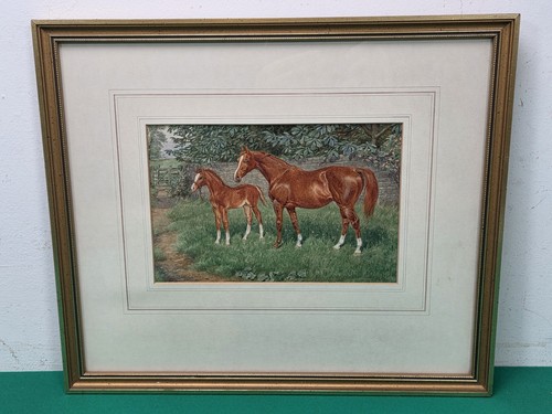 Quadro acquerello con cornice