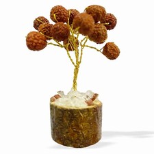 Rudraksha gemstone money tree - rudraksha,