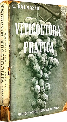Viticoltura pratica giovanni - viticoltura,
