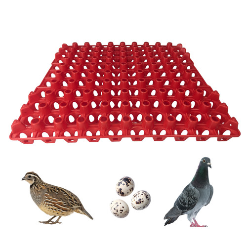Hen choice vassoi in - hen's,