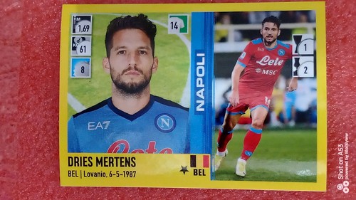 Figurine calciatori panini - figurine,
