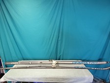 Sci da fondo Dynastar Evasion