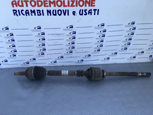 Semialbero ant per - semialbero, dx