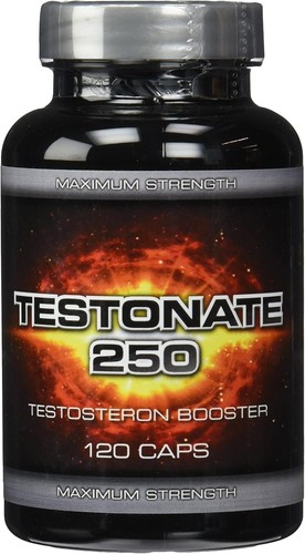 Testonate 250 costruzione