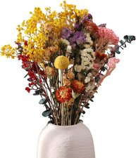 30 Pezzi Fiori Secchi