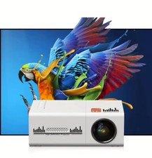 Proiettore, 30ANSI Lumen