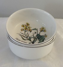 2 Villeroy & Boch Botanica