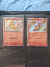 Charmander Charmeleon baby shiny destino di paldea