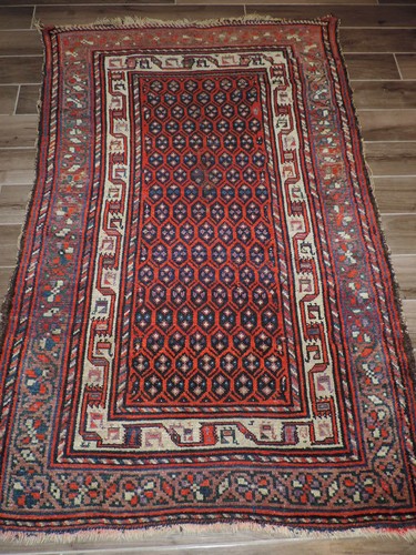 4x6ft antico tappeto lana - antico,