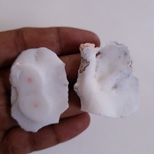 Naturale Corallo Piatto Pepite